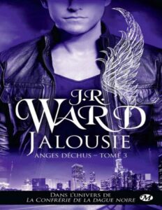 Jalousie Anges Dechus T3 BIT LIT French Edition