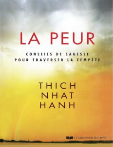 La peur : Conseils de sagesse pour traverser la tempête by Thich Nhat Hanh, book cover