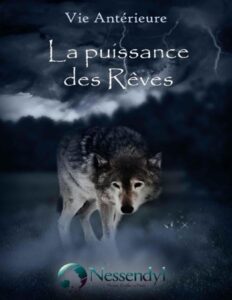 La puissance des rêves by Nessendyl, book cover