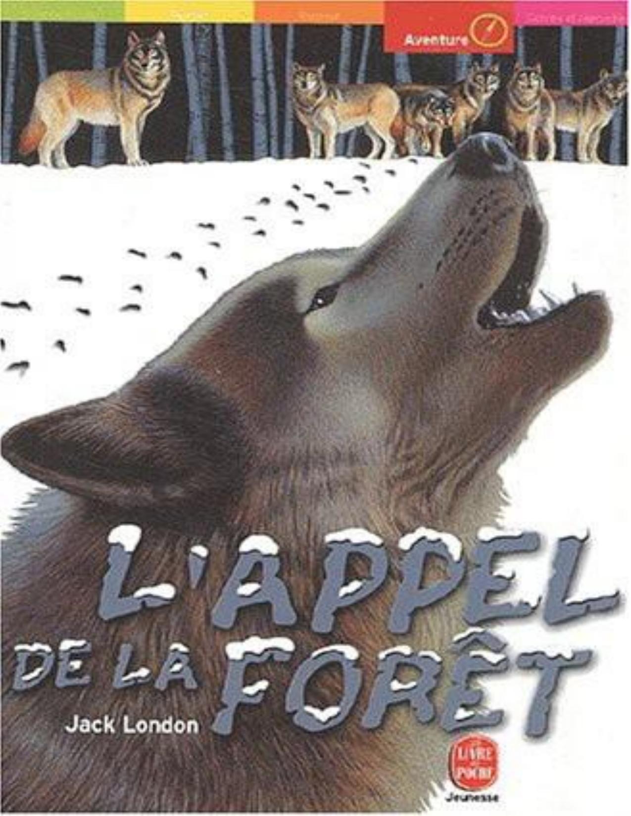 Lappel De La Foret