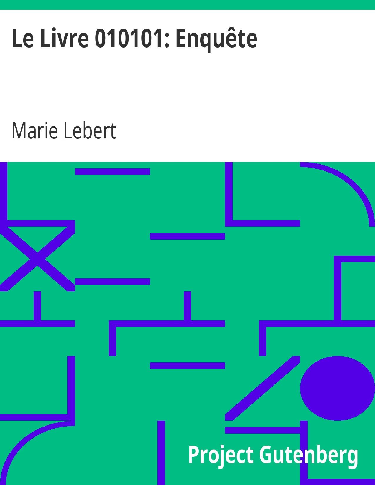 Le Livre 010101 Enquete