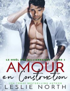 Le Noel Des Milliardaires T3 Amour En Construction