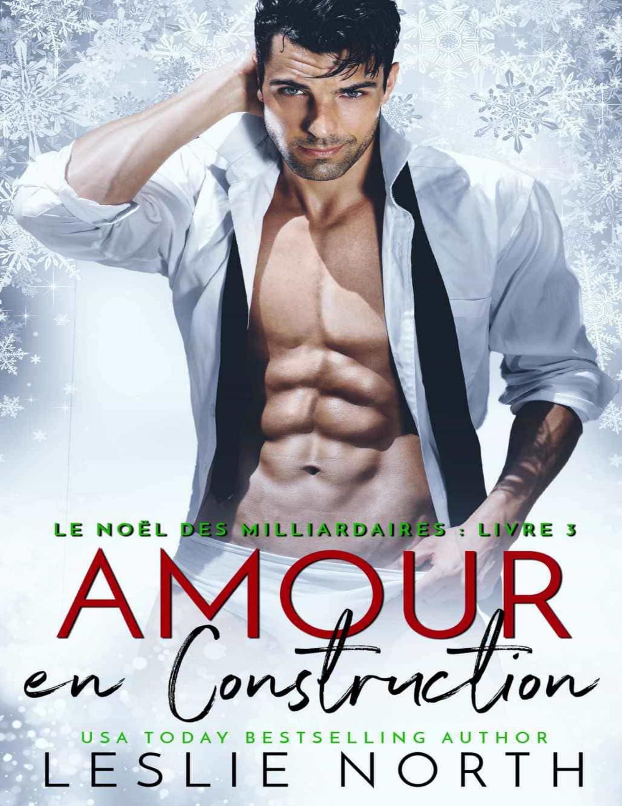 Le Noel Des Milliardaires T3 Amour En Construction