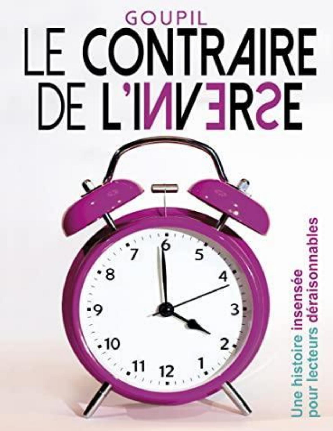 Le Contraire De Linverse Une Histoire Insensee Pour Lecteu