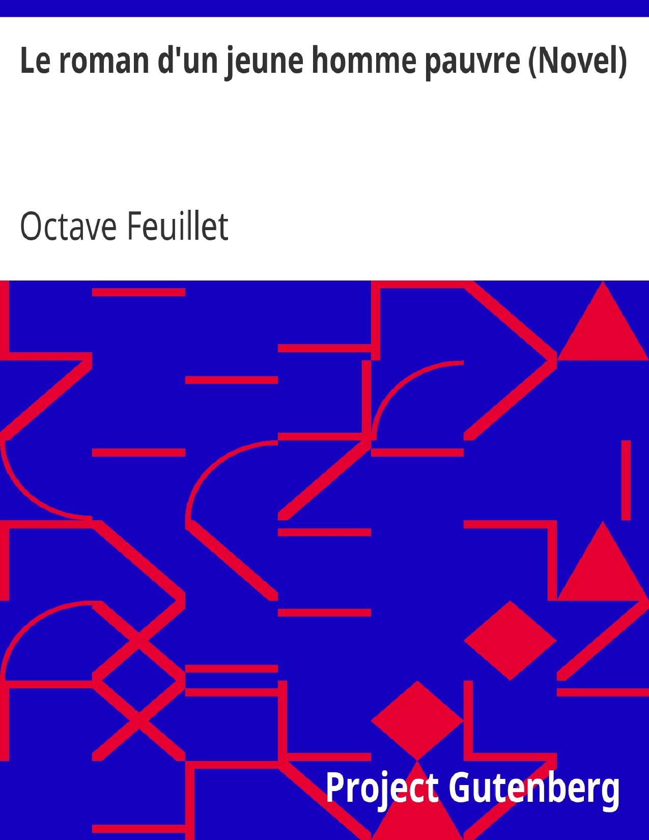 Le Roman Dun Jeune Homme Pauvre Novel