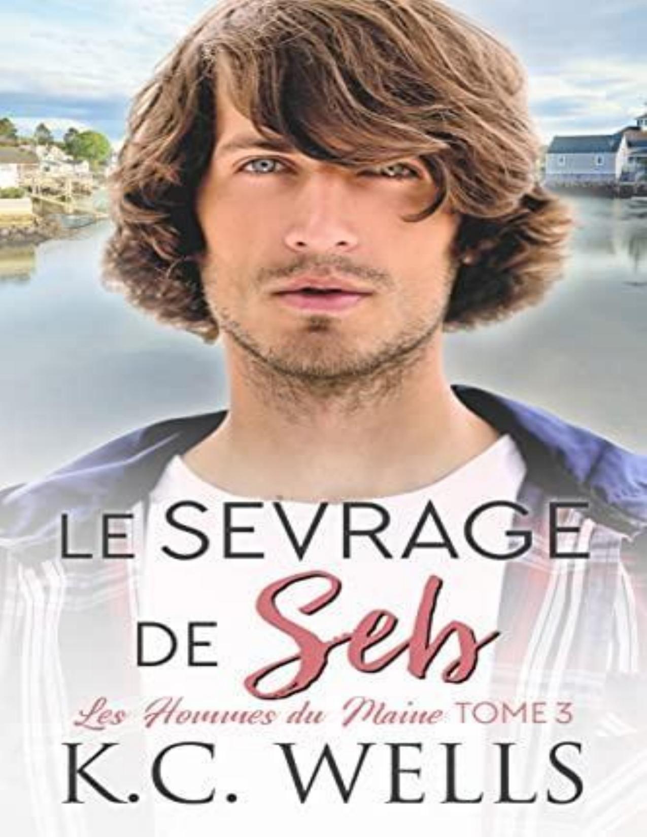 Les Hommes Du Maine 3 Le Sevrage De Seb