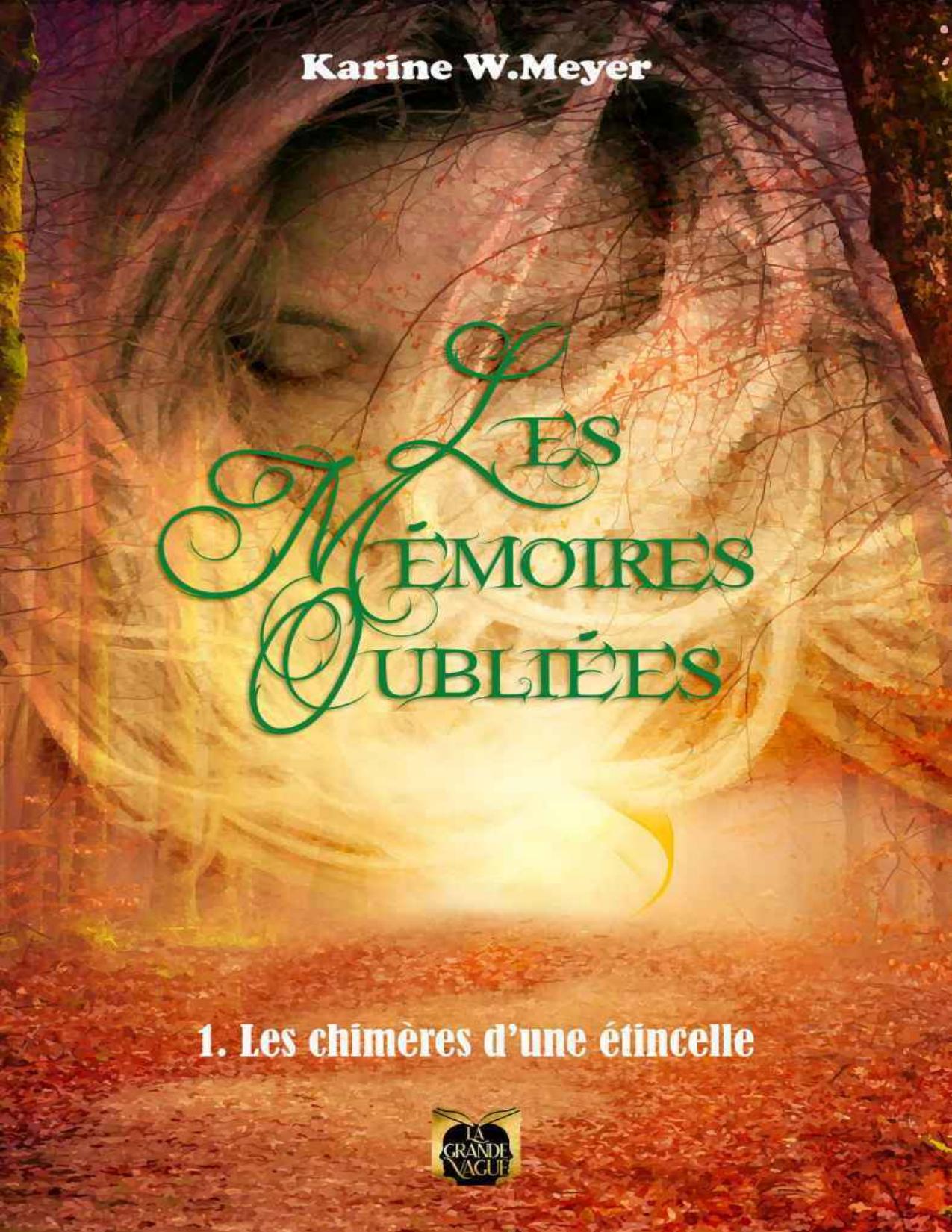 Les Memoires Oubliees Tome 1 Les Chimeres Dune Etincelle