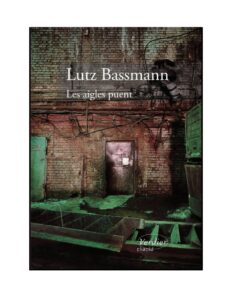 Les aigles puent by Lutz Bassmann, book cover