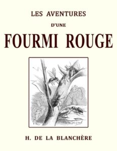 Les aventures d&rsquo;une fourmi rouge et les mémoires d&rsquo;un pierrot, couverture du livre