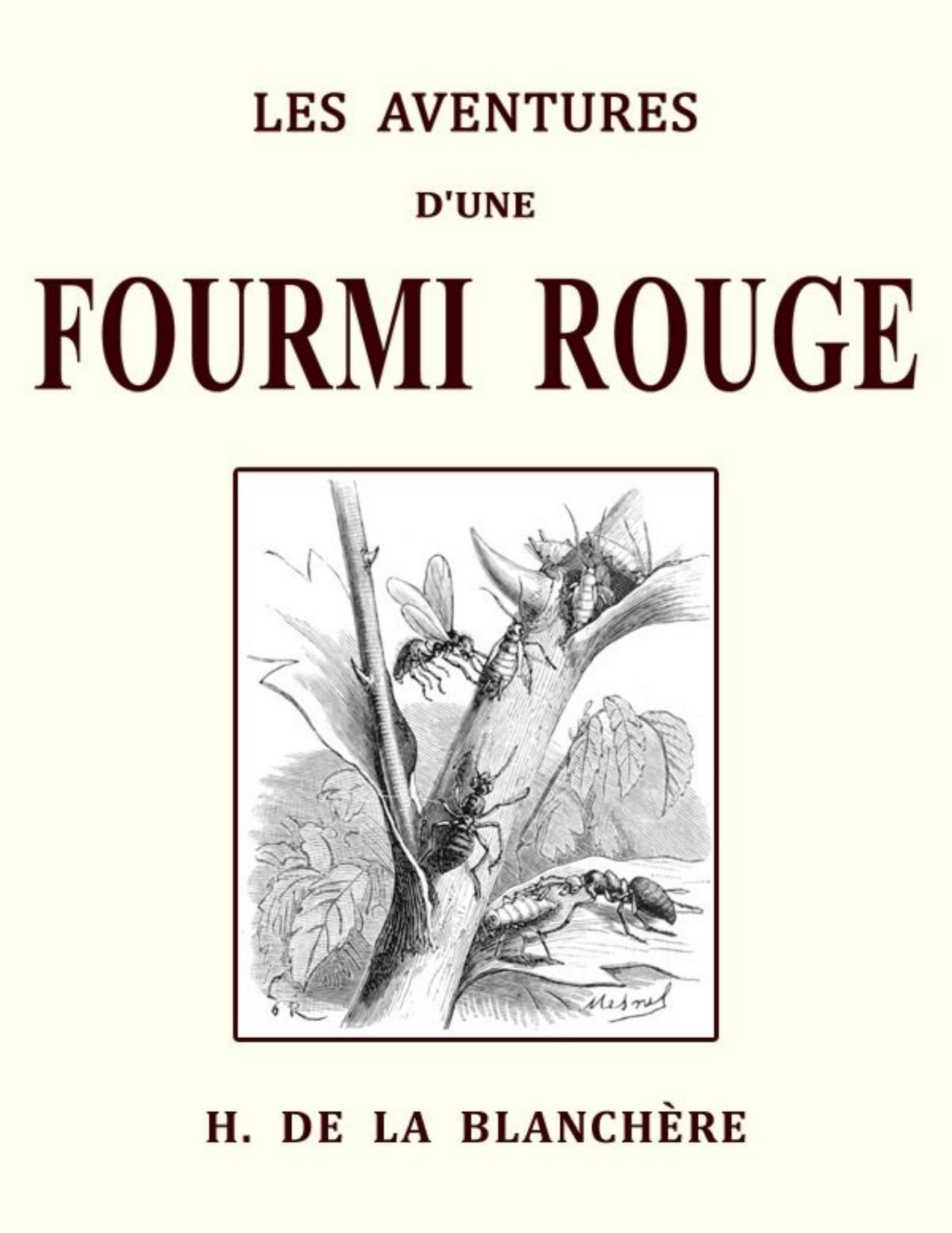 Les Aventures Dune Fourmi Rouge Et Les Memoires Dun Pierro