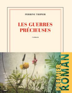 Les guerres précieuses by Perrine Tripier, book cover