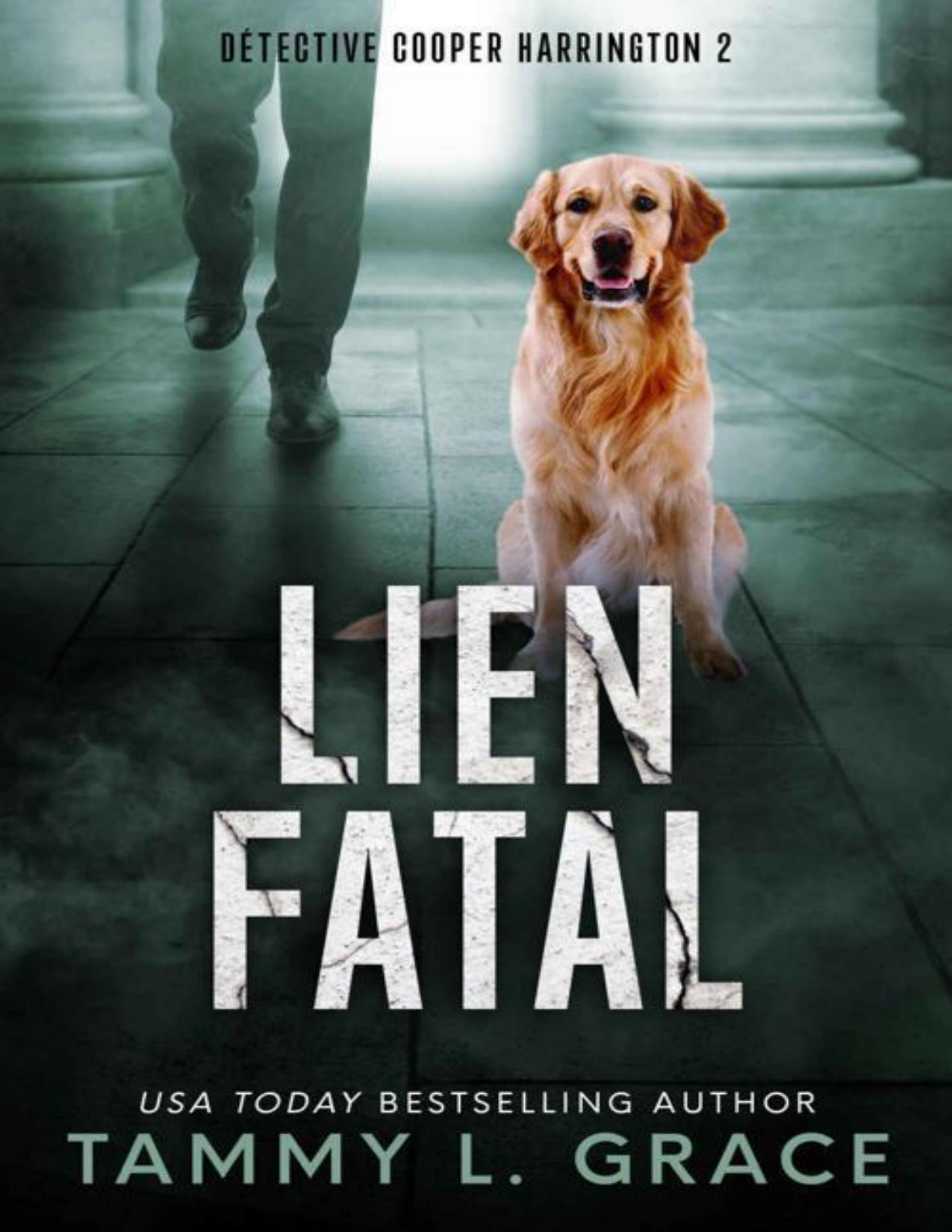 Lien Fatal Detective Cooper Harrington T. 2 French Editio