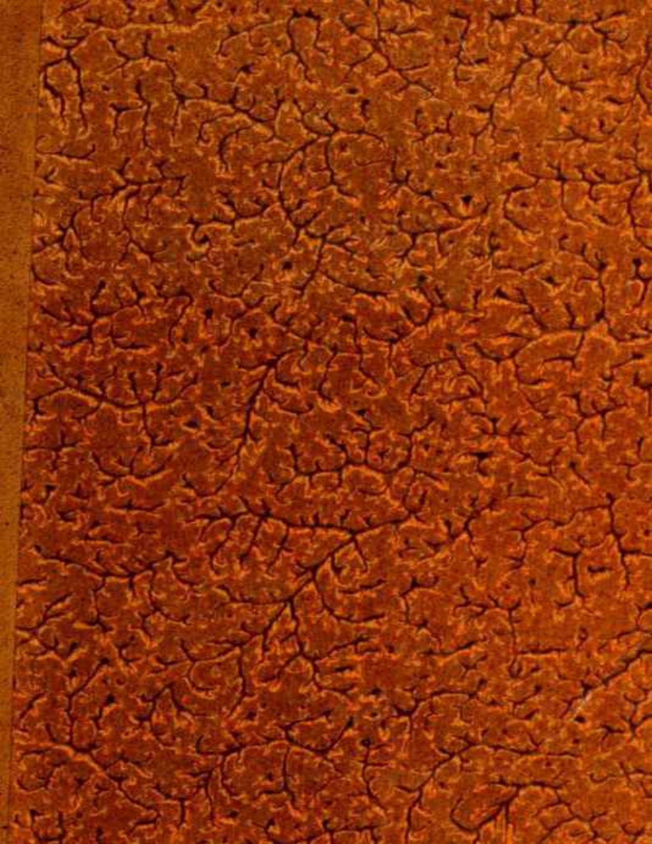 Louis XIV Et Marie Mancini Dapres De Nouveaux Documents