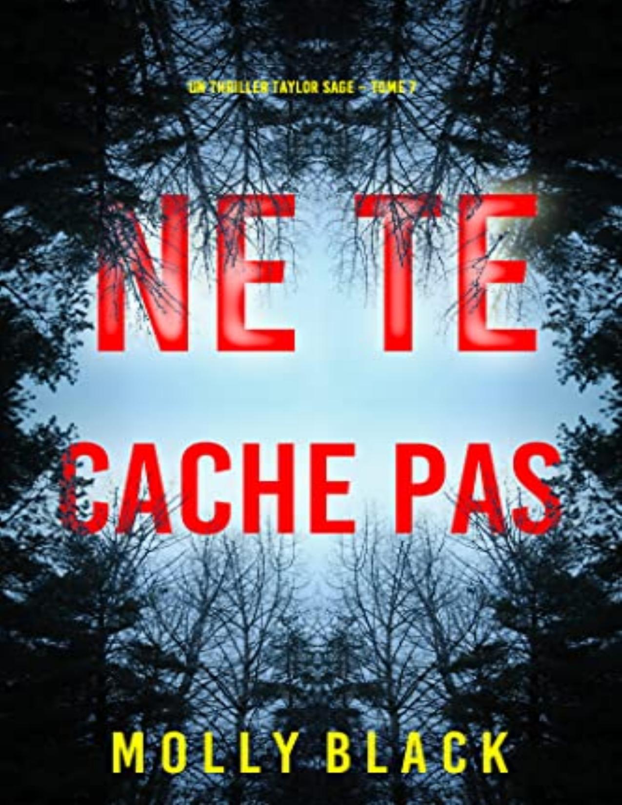 Ne Te Cache Pas Un Thriller Taylor Sage – Tome 7 French E