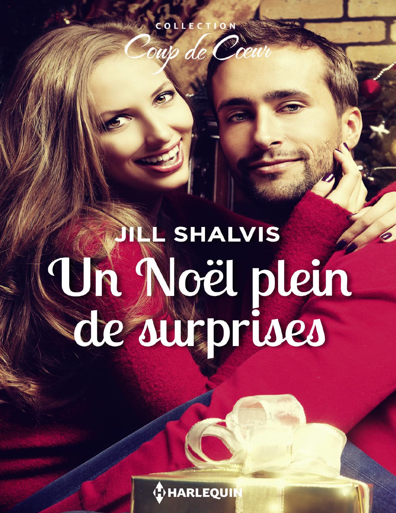 Un Noel Plein De Surprises