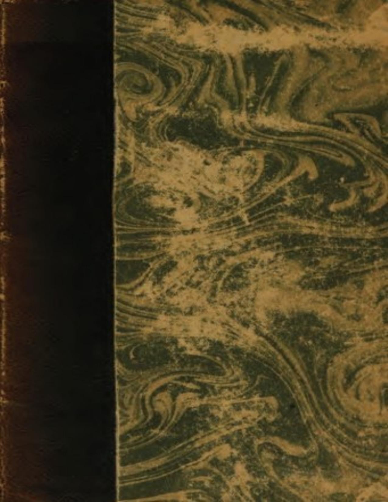 Vie De Tolstoi