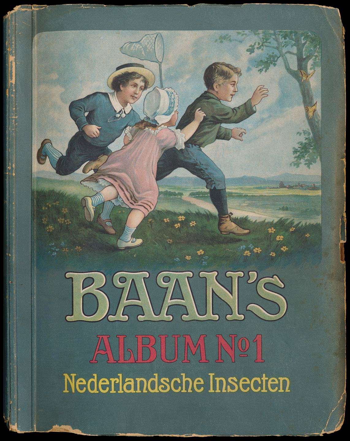 Nederlandsche Insecten van P. Teunissen, boekomslag