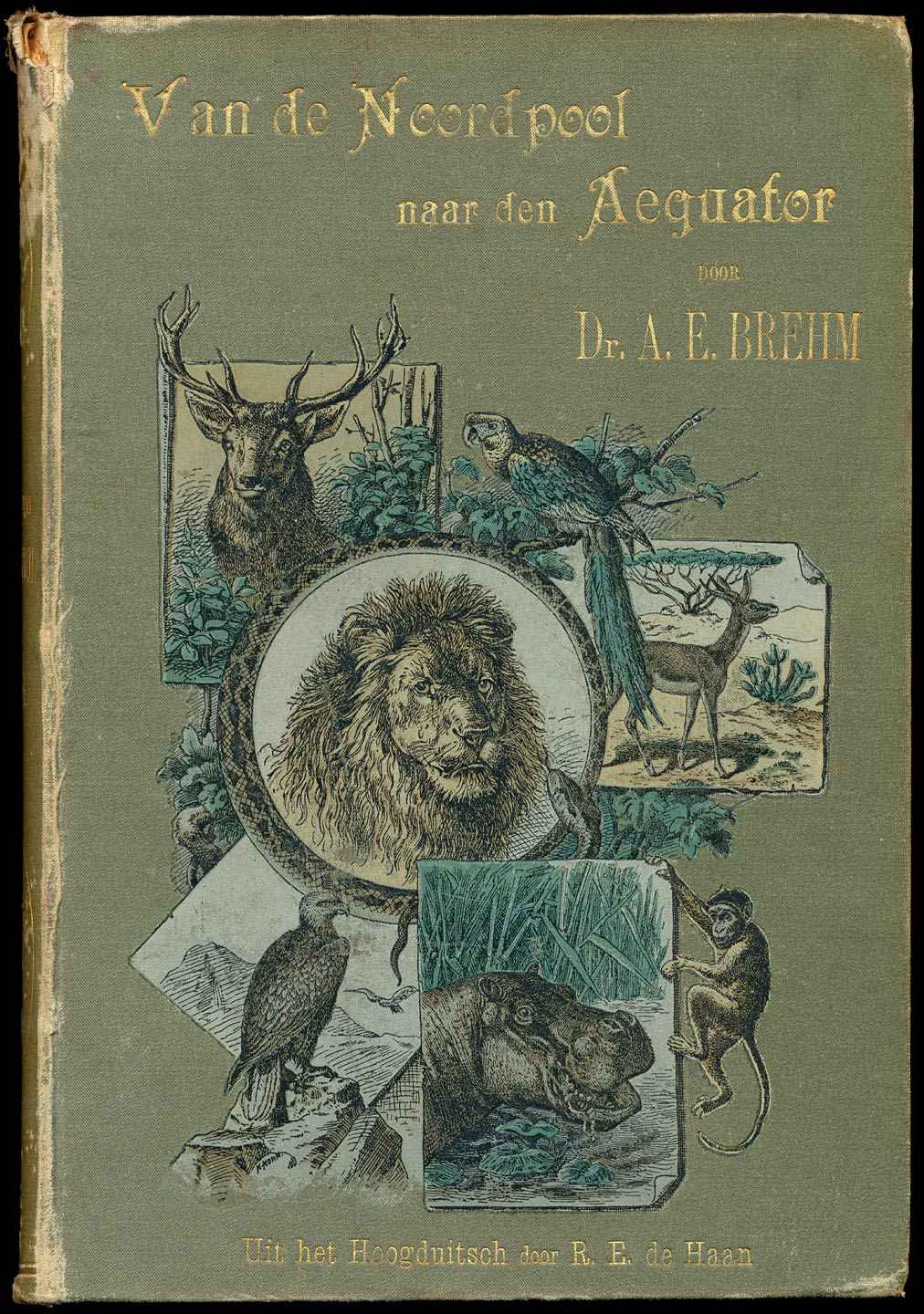 Van de Noordpool naar den Aequator van Alfred Edmund Brehm, boekomslag