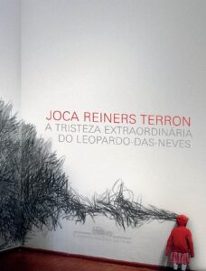 A Tristeza Extraordinária do Leopardo-das-Neves by Joca Reiners Terron, book cover