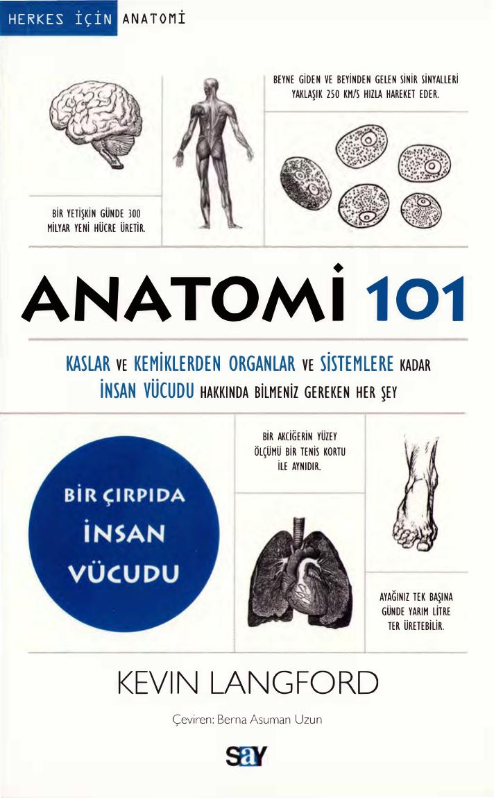 Anatomi 101 - Kevin Langford