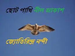 Choto Pakhee Neel Akash By Jyotirindra Nandi