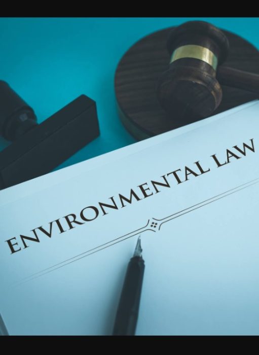 Environment Court Rules-2000