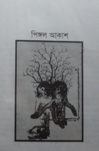 Pinggol Akash By Shawkat Ali