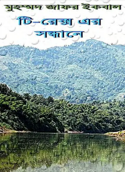 Tooki Ebong Jhaer Dusshashik Obhijan by Muhammed Zafar Iqbal