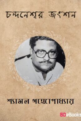 Chandaneswar Junction By Shyamal Gangopadhyay